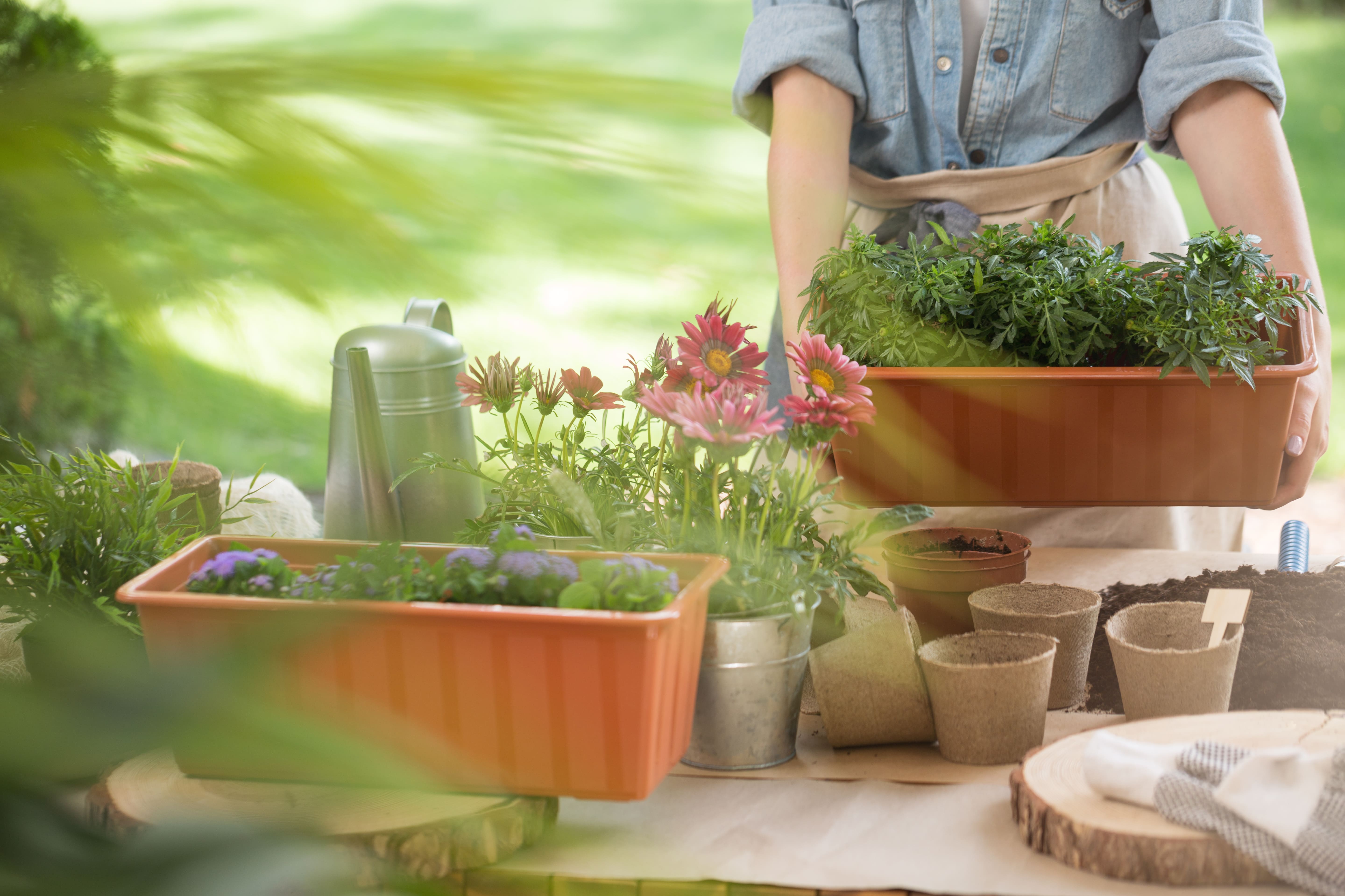 watering-can-and-flower-pots-PSUEKQP-min